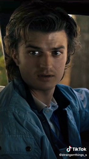 Steve and Dustin Moments in Stranger Things