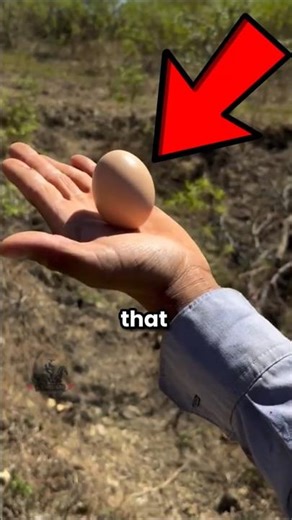 He’s Looking for Something You Can’t See