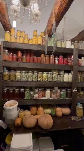 Just do the thing. #pantrygoals #gardening #homesteading #fyp