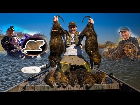 Hunting GIANT Invasive Marsh RATS | Louisiana Nutria Catch and Cook Compilation