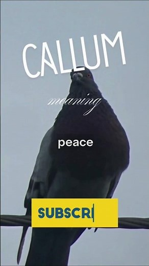 Callum name meaning 🤩🤩🤩