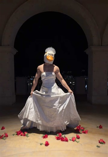 Dannyduck (@duckdannys)’s video of fluffing duck dance