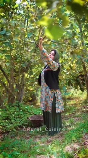 ‎آشپزی‎ on Instagram‎: "Hazelnut Qurabiya🍪 قرابیه فندوقی . I was eagerly waiting for the end of summer when hazelnut-picking season arrives so I could make this delicious and flavorful cookie. خیلی منتظر آخرای تابستون بودم که فصل چیدن فندق از راه برسه و باهاش این شیرینی خوشمزه و خوش طعم رو درست کنم . Hazelnut Qurabiya are incredibly easy and hassle-free, requiring just three ingredients. قرابیه فندقی شیرینی بسیار آسون و بی دردسره که فقط با سه قلم مواد آماده میشه. . If you try this cookie