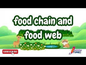 Food Chain and Food Web Explained | Science for Kids | Middle School Science @Al.learningtime