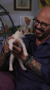🐕 A new episode of Shelter Me is now streaming! Hosted by Jackson Galaxy, Shelter Me: Building Inspiration features a special event where an animal shelter in Long Beach, CA turns City Hall into Kitty Hall — inviting the public in for adoptions, cuddles, and cat-inspired joy. You’ll also see how one incredible organization rallies volunteers to transform a Florida animal shelter, renovating the space to improve conditions, lift spirits, and help more pets find loving homes. Stream it for free o