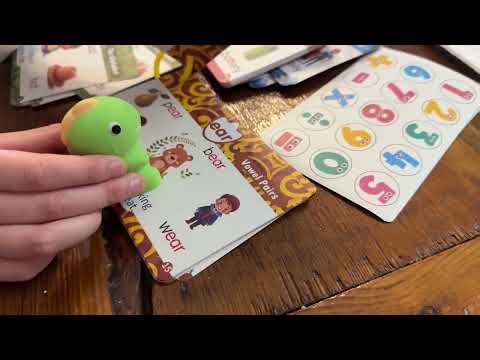 This Talking Dino Makes Learning SO Fun! HOMESTEC Phonics Review