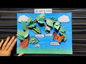 Life cycle of butterfly model /model for Science exhibition /project design butterfly /science model