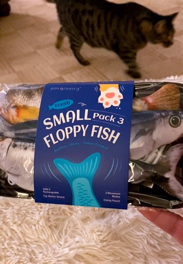Flopping Fish Cat Toy for Thrilling Playtime