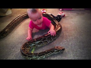 Video of a Snake Coiled Around a BABY Goes Viral