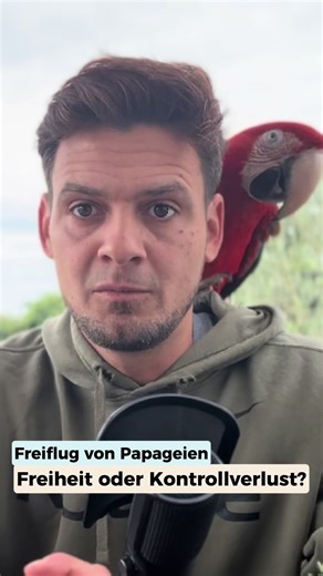 pacolito on TikTok