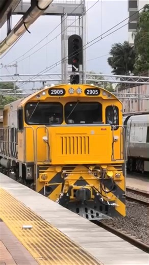 The Westlander #railfanning #australiantrains