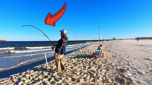 328K views · 2K reactions | Can't Believe Beach Fish Get This BIG!! **SHOCKING Catch** | Bama Beach Bum | Facebook