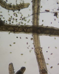 And here's us thinking tap water is okay to drink... 😳 | LADbible Australia