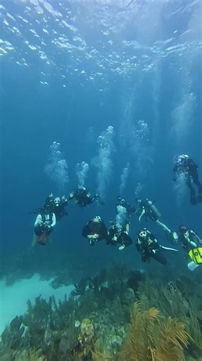 71% of Earth is water. Time to explore it. 🤿🌊 📍Learn to dive at Bay island college of diving #scubadiving #learntodive #bayislandcollegeofdiving | Bay Islands College of Diving