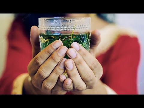 Morocco Lifestyle and Culture with Local tour guide