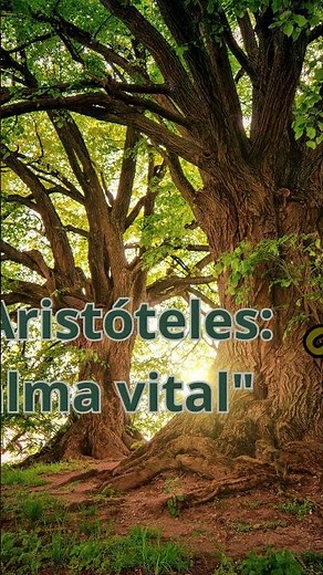 Platón vs Aristóteles: el alma #filosofía #frases #educaciónfilosófica