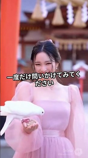 「わび・さび」の本当の意味、知っていましたか？形を整えることに疲れたとき、この言葉の語源を思い出してください。——あなたの言葉は、誰のために生まれますか？