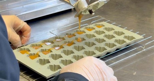 Western New York farms give the public a front-row seat to their operations during Maple Weekend