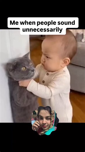 No disturbance no meow #meow #viralvideoシ | Ruqhiya Munawar