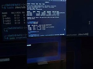 Cómo instalar Kali Linux en un USB correctamente con cifrado y persistencia
