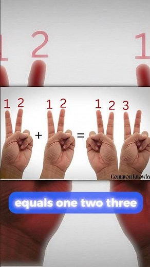 Introduction to Basic Arithmetic Operations