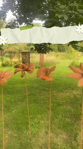 5.5K views · 57 reactions | QUINTESSENCE on Reels | Facebook