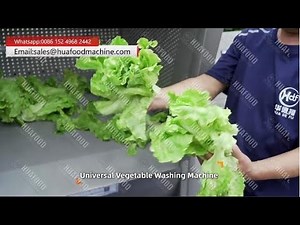 Small Vortex Bubble Rinse Leafy Vegetable Washing Cleaning Machine