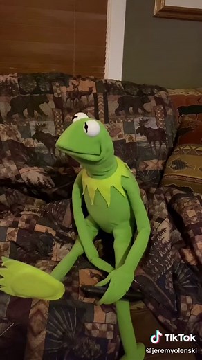 Should Elmo still get a cat? Original cat video @whittayy #cats #themuppets #parodykermit #parodyelmo #elmo #kermit #muppets #parody #foryou #fyp