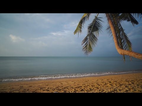 8 Hours of Ocean Waves 🌊 | Black Screen Sleep Sound