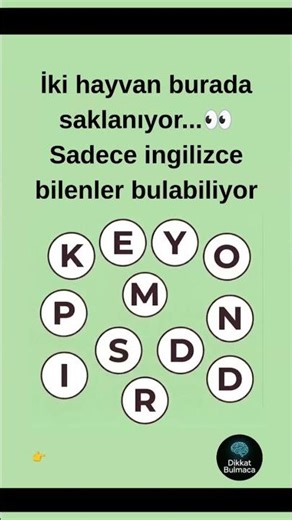 👉 Bu Bulmacayı � Çözemiyor! 2 Hayvanı Bulabilir misin? 🧠 Dikkatini Test Et! | Zeka