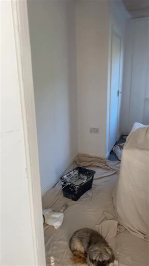 Finally got him for the day xx nice and fresh for xmass x x | Rachel Ross