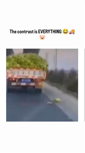 The Cinex Community on Instagram: "The contrast is EVERYTHING 😂🚚🐷 On one side, you’ve got a truck driver stopping traffic just to carefully pick up a single fallen vegetable like it’s a priceless artifact. Calm. Focused. Respectful. On the other side? Pure chaos. A woman in a car, happily munching snacks, crumbs everywhere, zero shame, maximum vibes 😭💀 This reel hits because it’s so relatable. One moment shows peak discipline and responsibility, the next shows unapologetic enjoyment of life