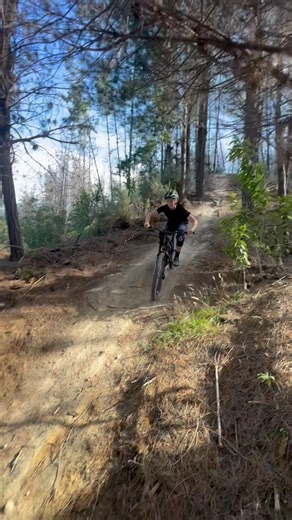 Sendable @t‪@troyleedesigns‬tre‪@trekbikes‬p