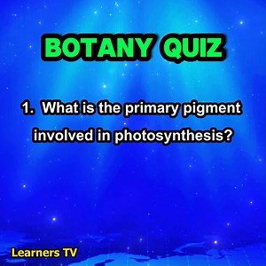 What is the primary pigment involved in photosynthesis? | Botany Quiz #learnerstv #botanyquiz #sciencequiz #sciencelesson #education #QuizTime #QuizChallenge | Learners TV