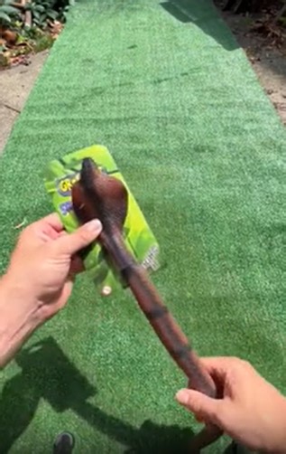 Inflating Toys with Water Until They Burst: Colossal Chaos