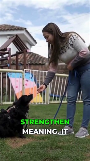 Dog Training Mistake Why Repeating Commands Fails #dogtraining #dog