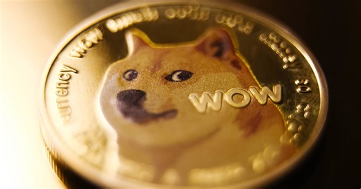 Kabosu, dog in the viral 'doge' meme, has died