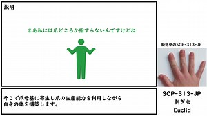 【ゆっくり紹介】SCP-313-JP【剥ぎ虫】