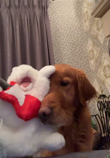 Nova and Loki's Epic Rock Session to Shinedown