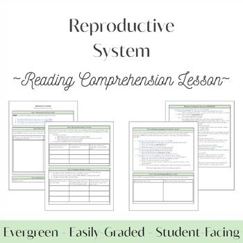 Reproductive System Reading Comprehension Lesson | Grades 9-12