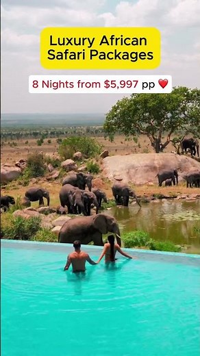 Luxury African Safari Packages from $5997 #africansafaripackages #luxuryafricansafari #africansafari