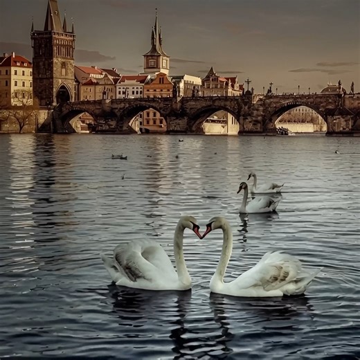 34K views · 1.3K reactions | ️廉 Romantic Prague Reel 廉️ The...
