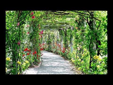 ギター世界の名曲集