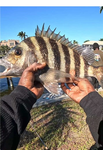 If I see the Fish it’s a high percentage chance that I’ma catch it ✝️🔥🎣💯.. #hoodfishing #hoodfisherman #HFE #hoodfishingentertainment #hoodfishingent‼️