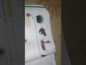 Chapter 7 of class 5 extra and regular questions ##👍👍