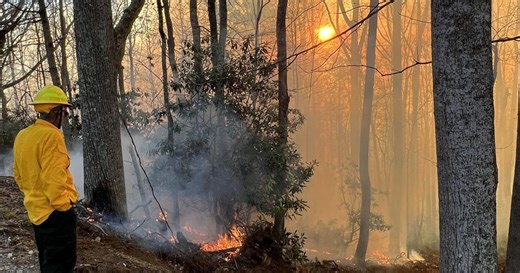 Cause of 9.5-acre brush fire under investigation