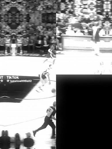 the step curry fan on TikTok