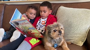 17 reactions | Animals never judge our reading skills—that’s why We Are All Ears, a Worldwide Read with Pets Project, encourages children to read to their pets at home to improve youth literacy and strengthen the human-animal bond. Reading at home to pets can help children maintain their reading skills during breaks from school. Read more about this special project: https://petpartners.org/act/allears/ | Pet Partners | Facebook