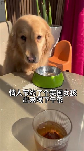 Who doesn’t have a partner to spend Valentine’s Day with? 🐥 P140