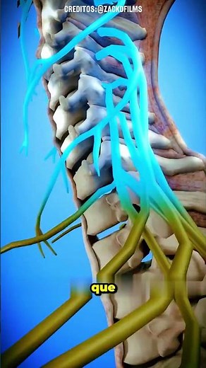 👽Alien hand syndrome ✋